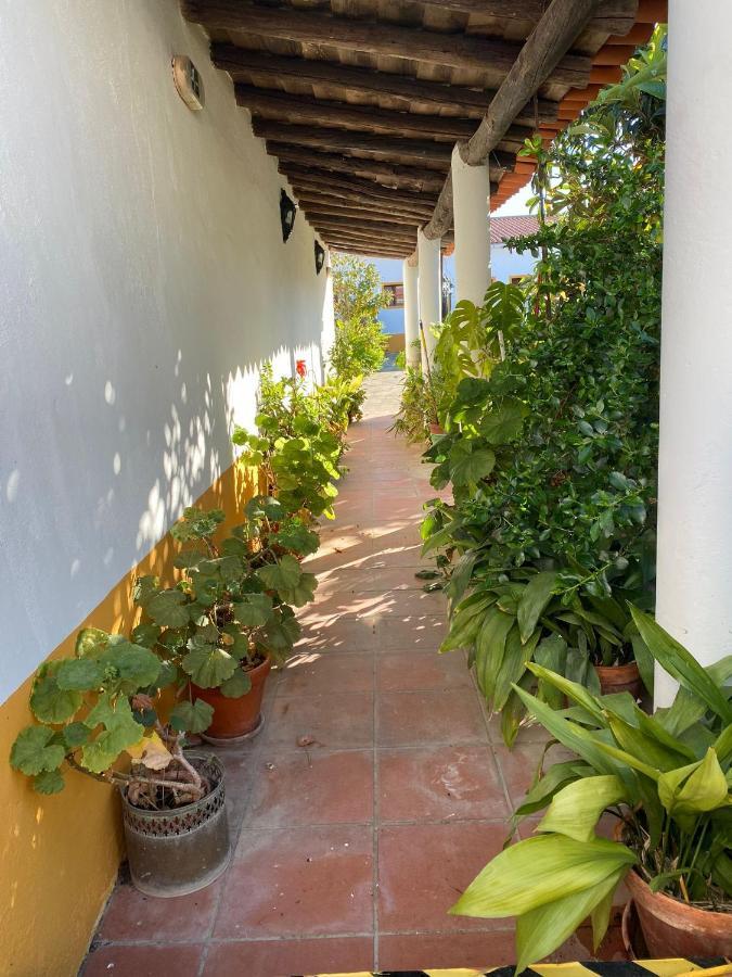 Casa De Sao Cucufate - Casa De Campo Vila de Frades Dış mekan fotoğraf